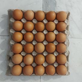 Яйца за люпене Ломан Браун