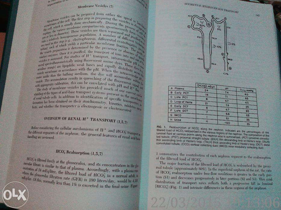 The Regulation of Acid-Base Balance, Seldin and Gierrisch, 1989