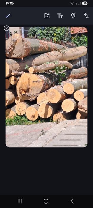 Tai lemne cu drujba la domiciliu dimensiunea dorită la peridoc la căru