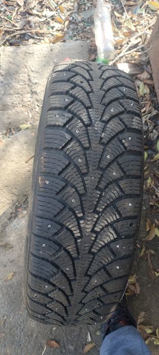 Шина зимняя 1 шт