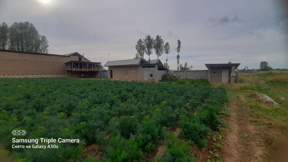 Koʻchmas mulk / Yangiyoʻl