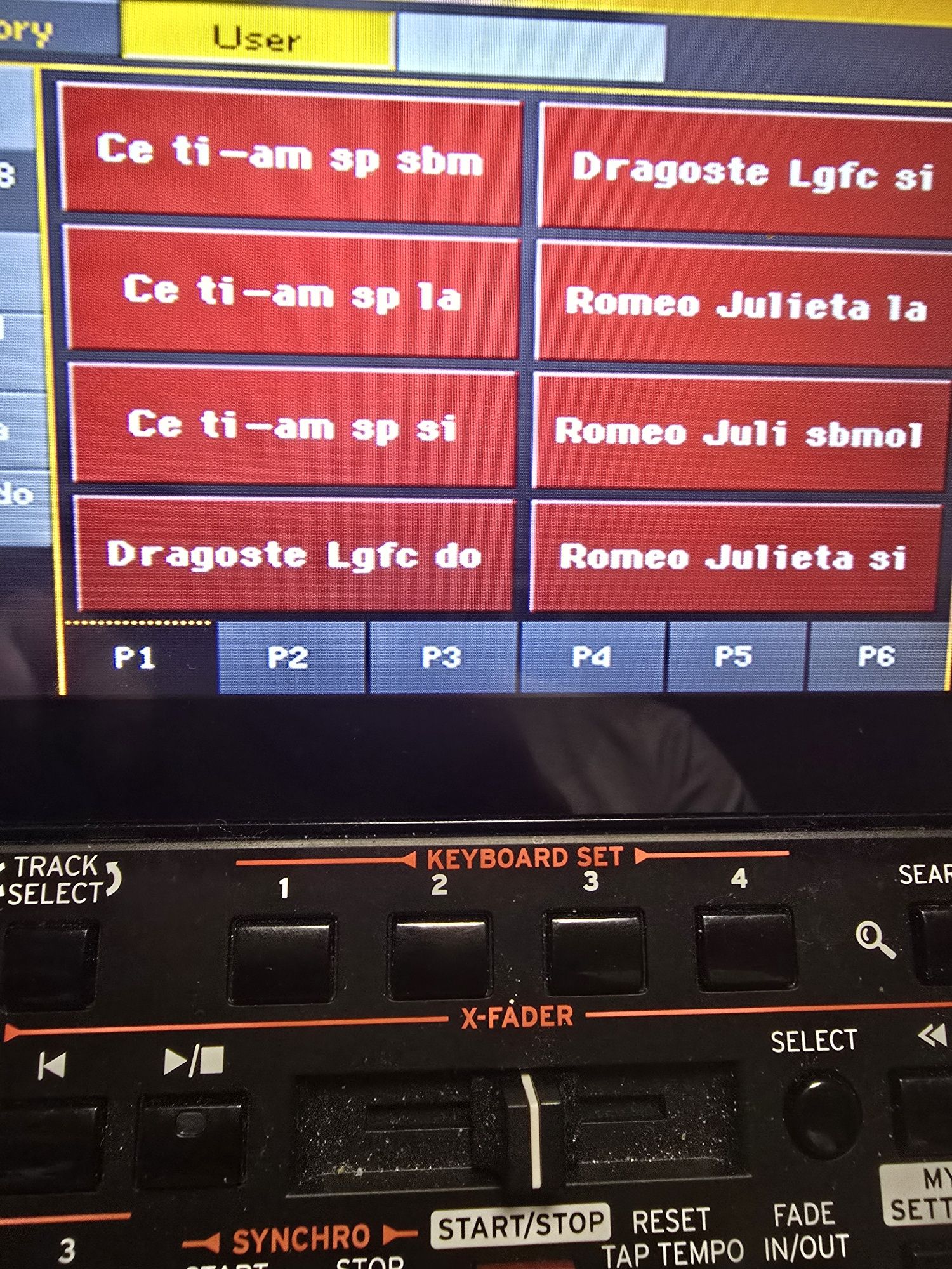 Set Korg korg Pa4x/Pa1000/Pa700/Pa3x/Pa2 Manual Automat introduceri 20