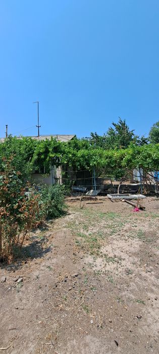 Дача Навбахор 6 соток Дом 3 комнаты Паркент Янгибазар Джумабазар