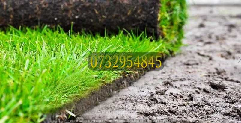 Gazon Natural Proaspăt – Ideal pentru Curți și Terase