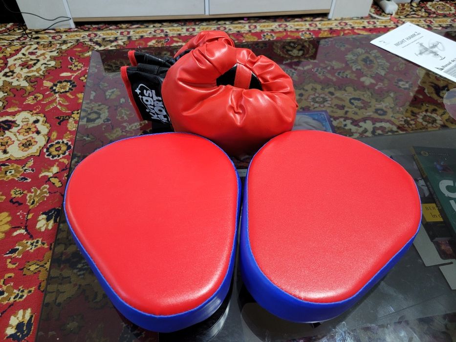 Vând mânusi box ṣi pao-uri