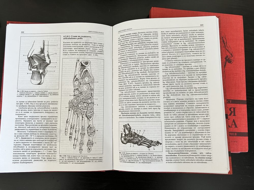 Анатомия на човека, проф. Койчев, Част 1 и Част 2, 1995-1996