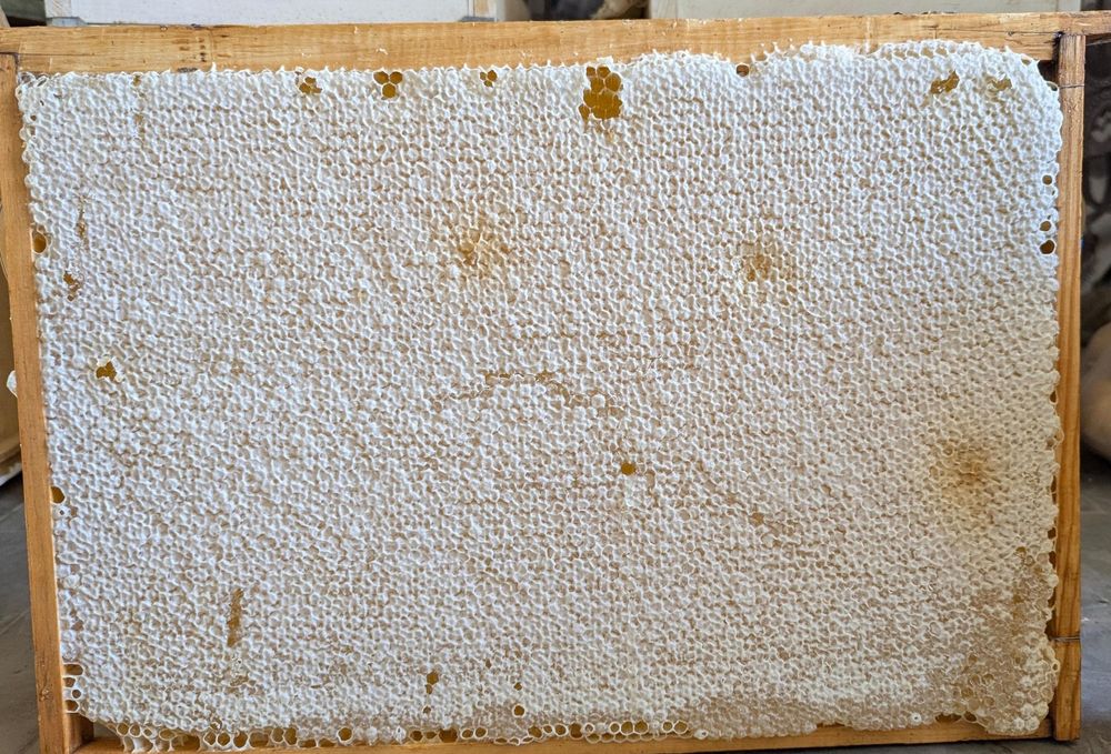 Натуральный мёд 1 литр 3500