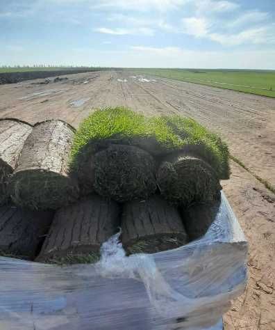 Gazon Rulou, Sisteme de irigare