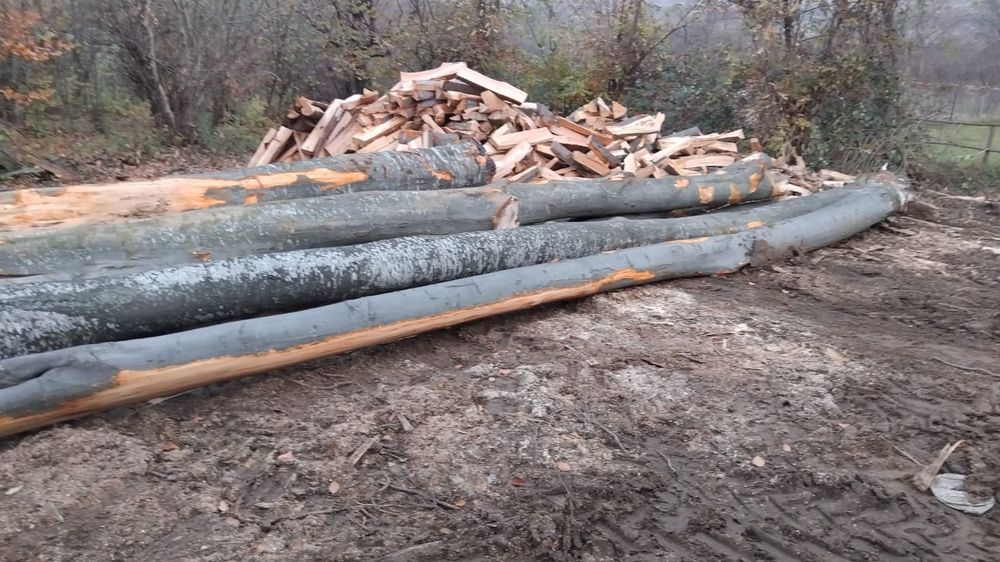 Busteni de fag & stejar și deșeuri lăturoaie de brad & molid