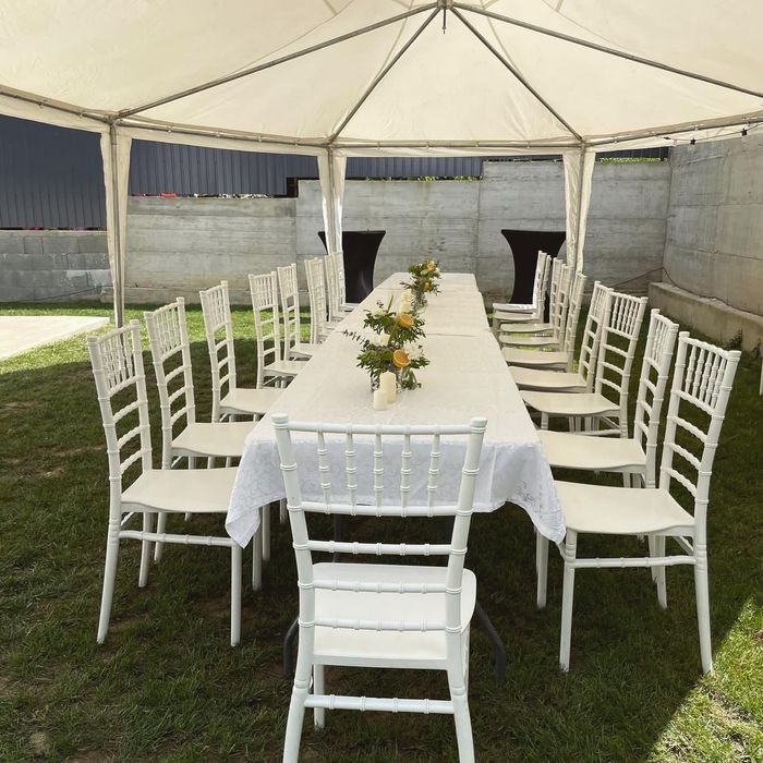 Scaune pentru evenimente de inchiriat (Chiavari alb, Crossback maro)