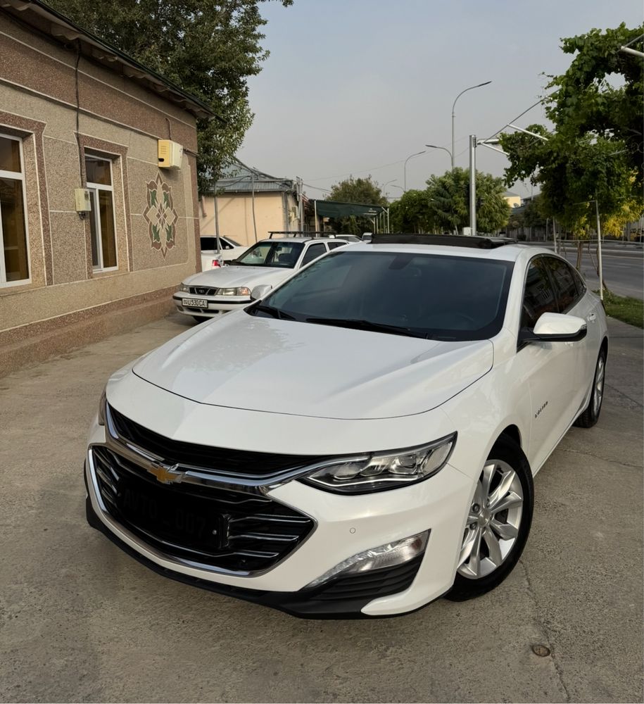 Malibu Pirimer 2020