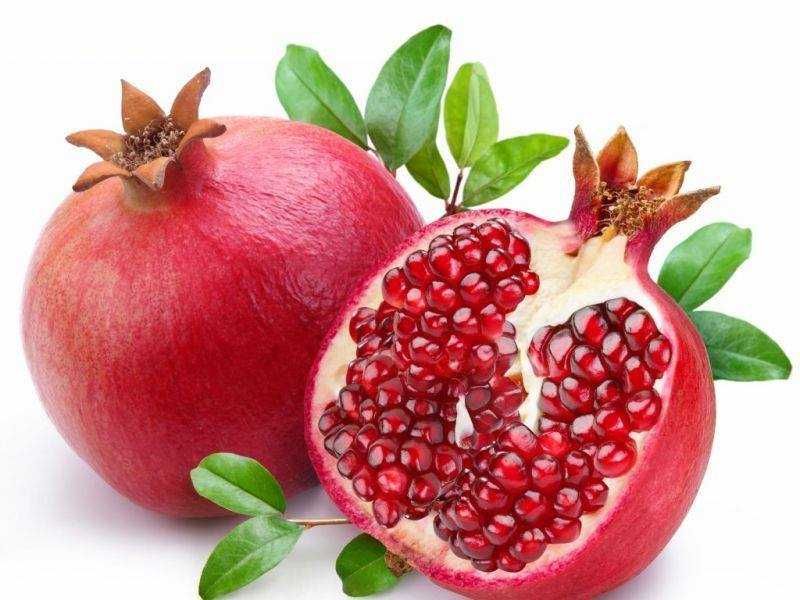 Нар фиданки  - Punika granatum  Студоустойчив и Самоопрашващ