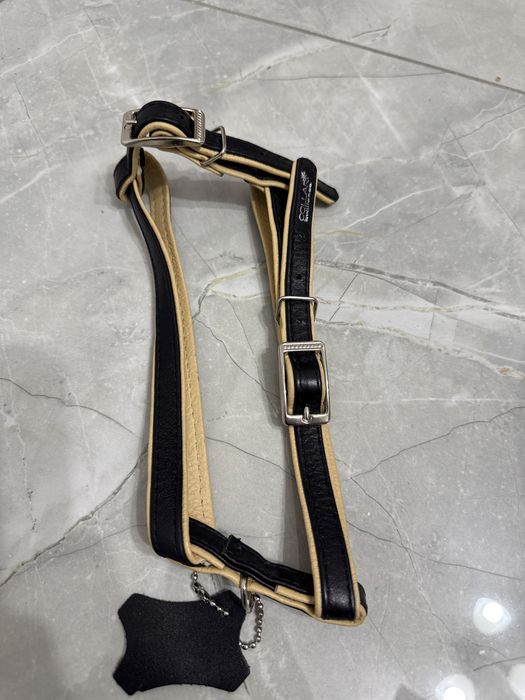 Шлейка кожаная для кошек