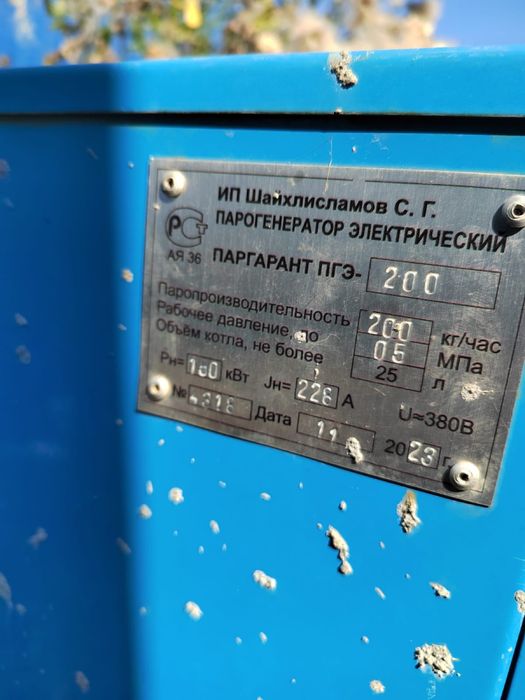 Парогенератор электрический