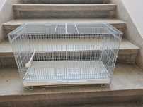 Colivie păsări marime medie