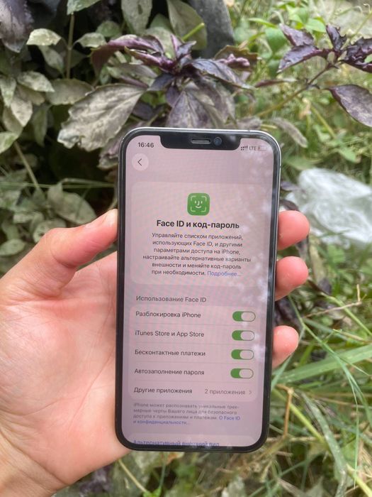 Iphoni 12 pro 5g LLA