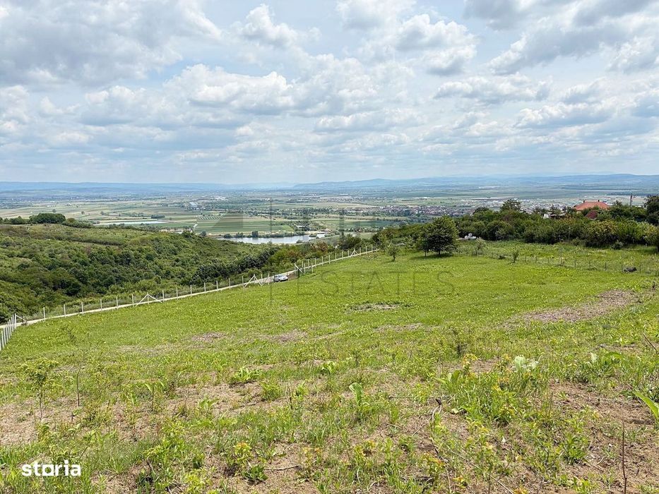 Teren 9461 mp cu panorama in Cartierul Podgoria din Oradea