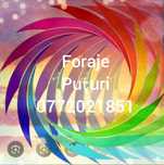 Foraje Puțuri,Piloni,Denisipări,Adânciri și Curățări.