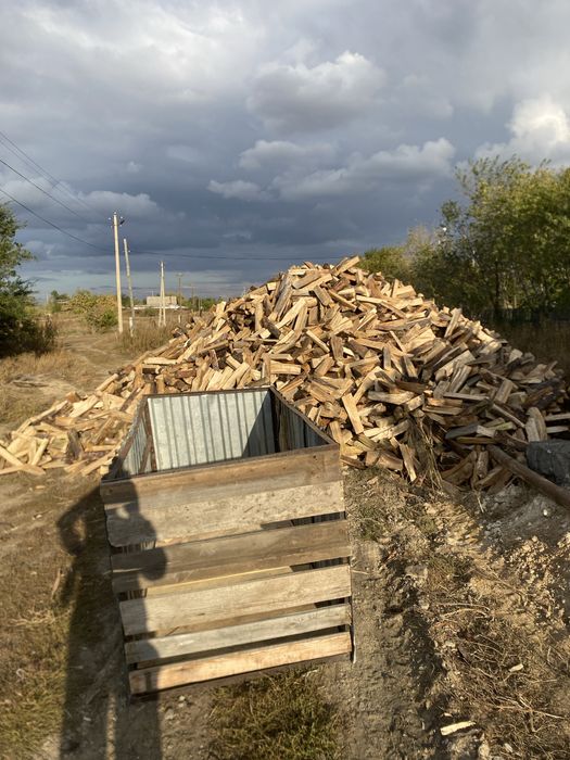 Дрова сосна, рубленные