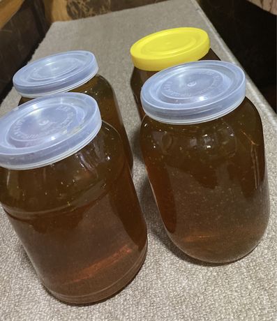 Натуральный мёд со своей пасеки (Бурчмулла)