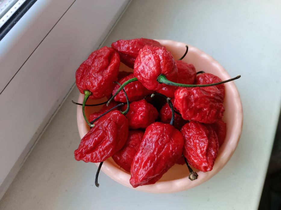 Bhut jolokia тропический перец