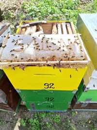Familii de albine  cu tot cu cutie