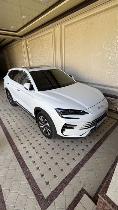 BYD Chempion Gibrid Full  2025