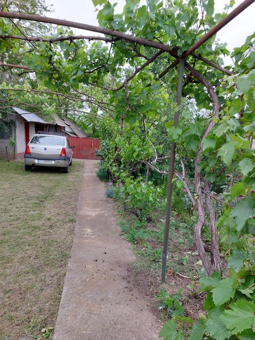 Vand casa Smardan Buzau