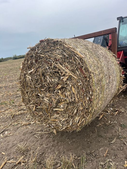 Baloti de tulei baloti de de porumb