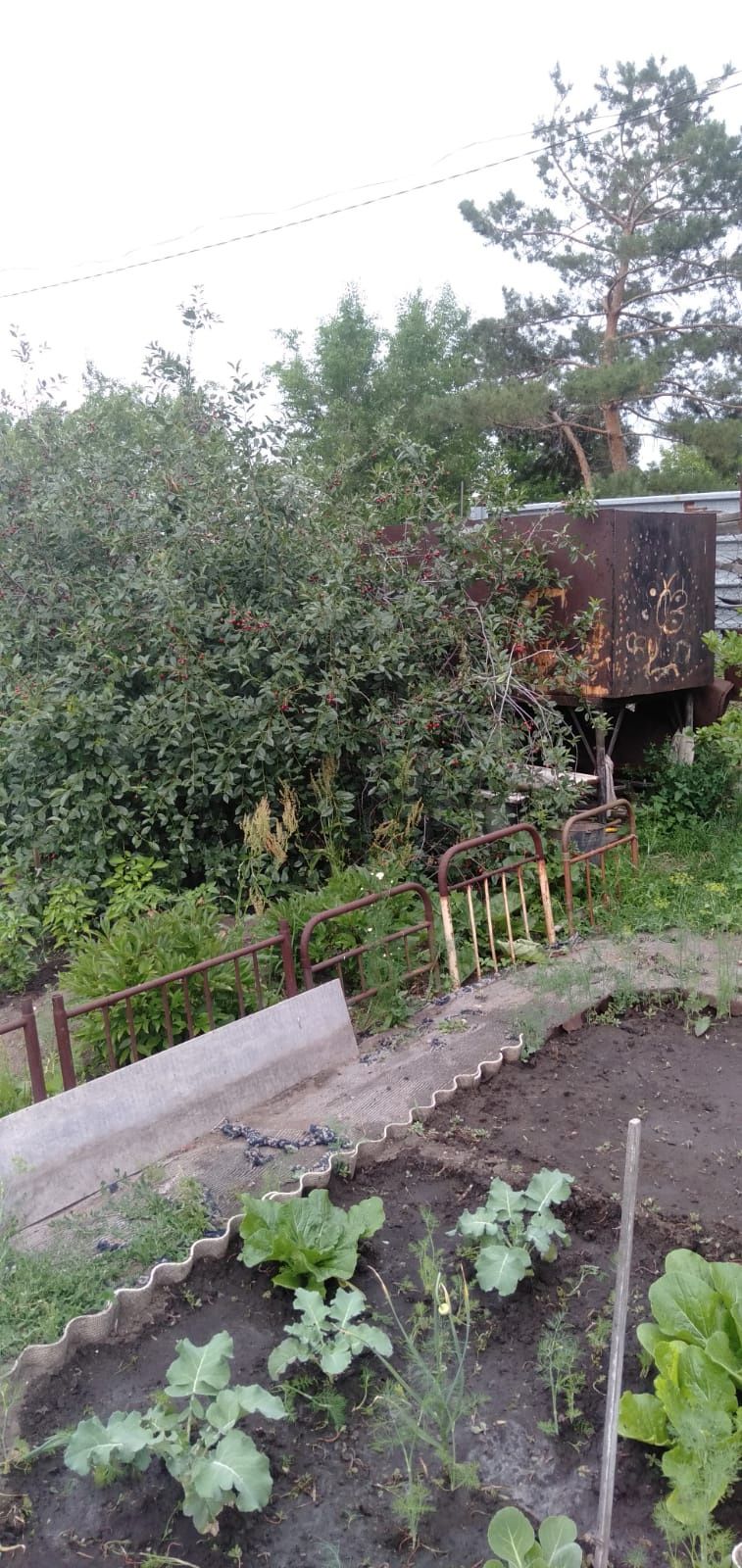 Продам дачу Мичуринец