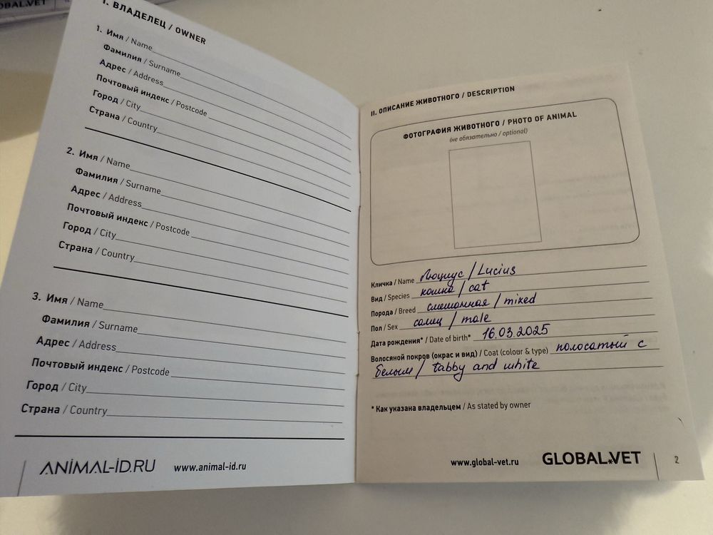 Котенок Люциус с документами!