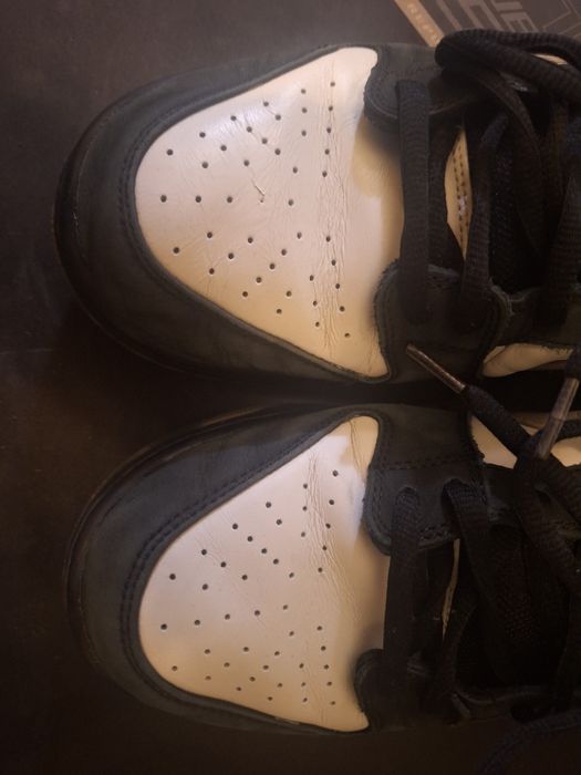 SB Dunk Panda Pigeon by Jeff Staple