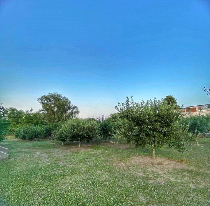 Conac boieresc cu teren de 2300mp  - situat în satul Merii-zona Găești