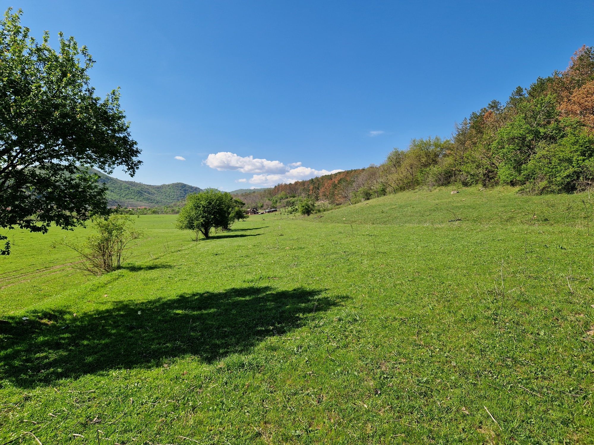 Teren de vanzare. 5000mp