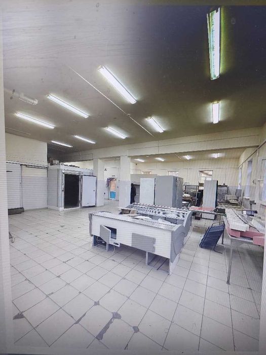 Сдам в аренду помещение и холодильники (рефрижераторы) 0c до -20c.