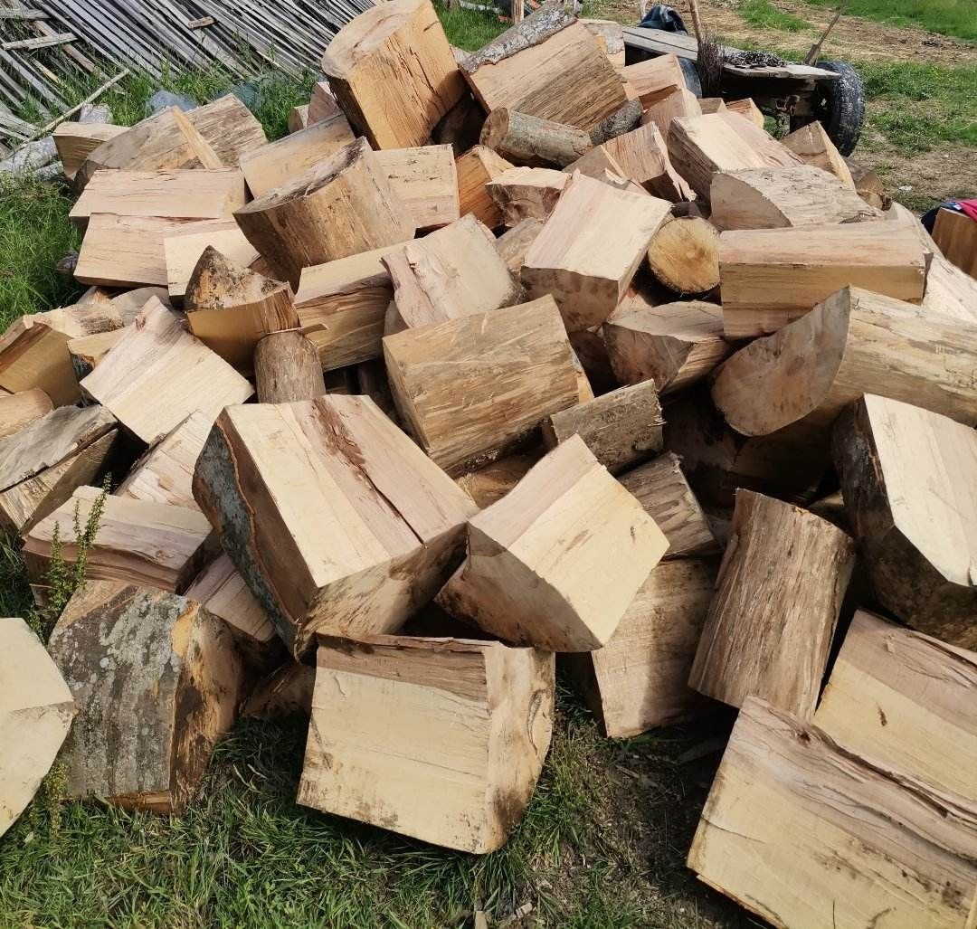 Vind lemne de foc esență tare fag