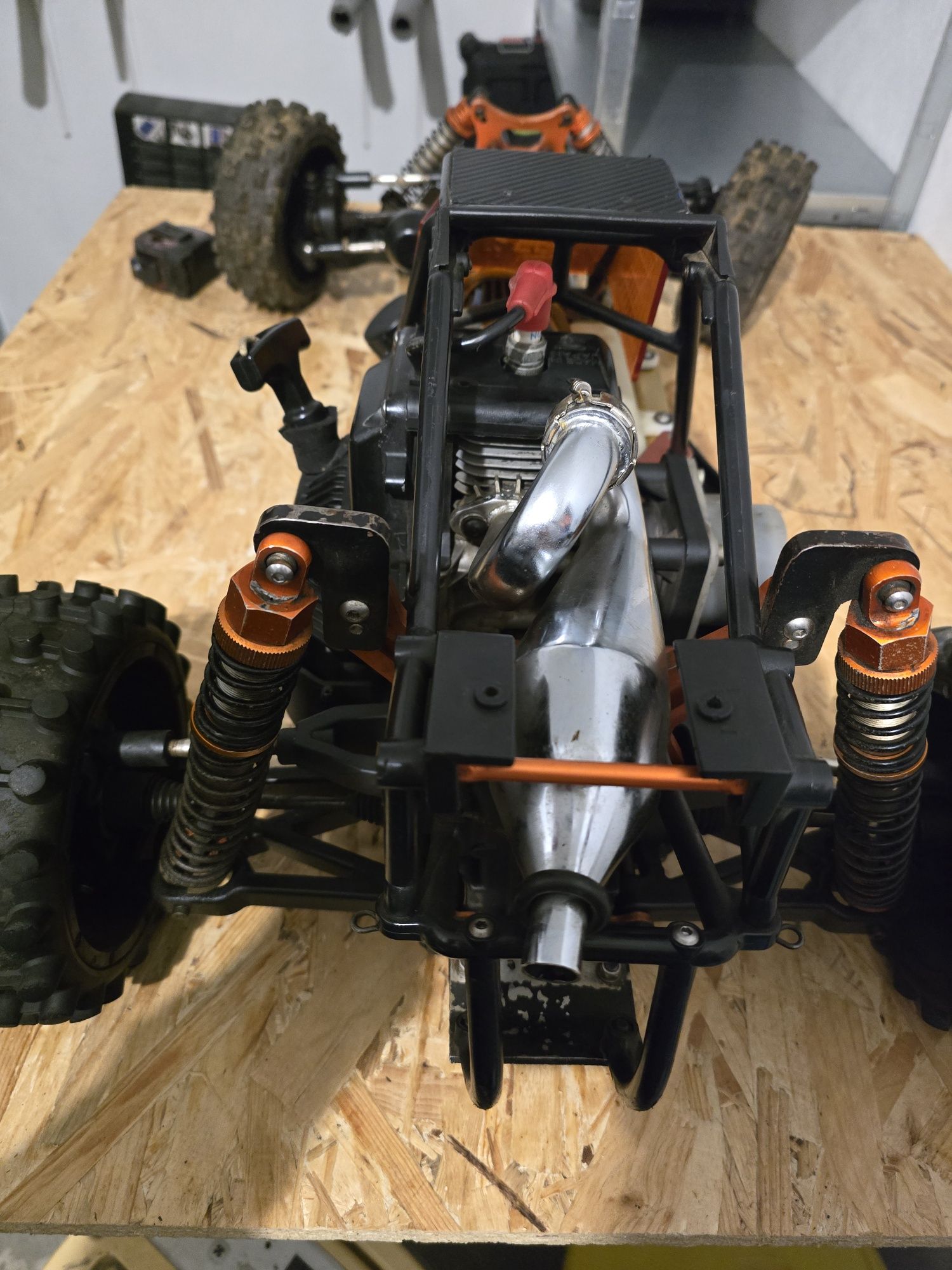 Automodel Pitbull x