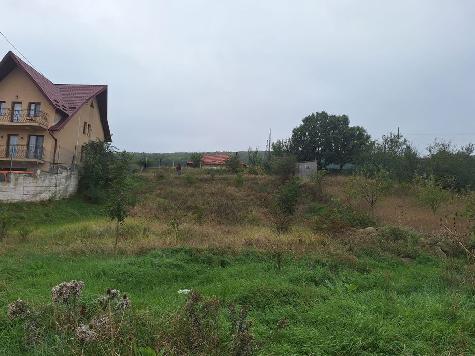 Teren Tomesti  intravilan 1000mp,gaz,apa,canal,asfalt,business