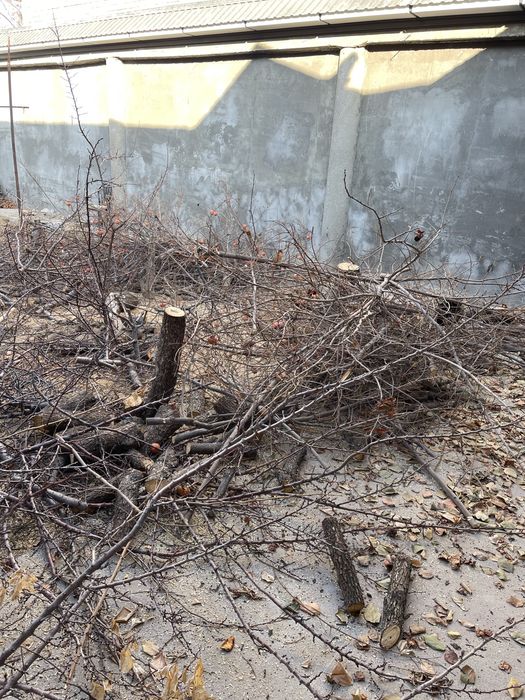 O’tin bor, muhtojlar olishi mumkin