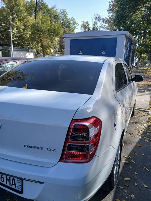 Cobalt 2025 sotilad srochna