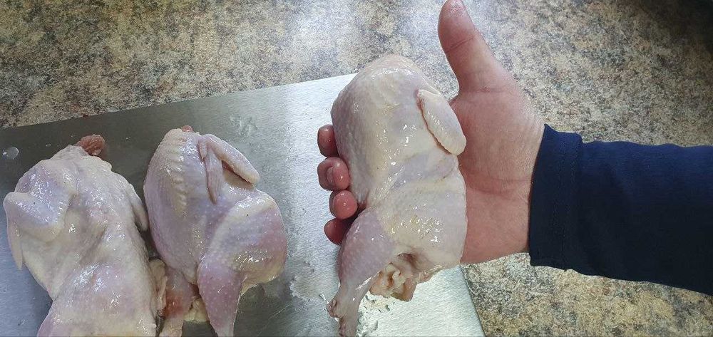 Свежее мясо перепелов