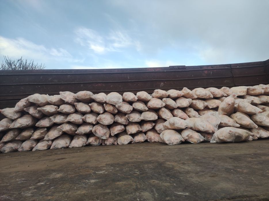 Продам гусей линда