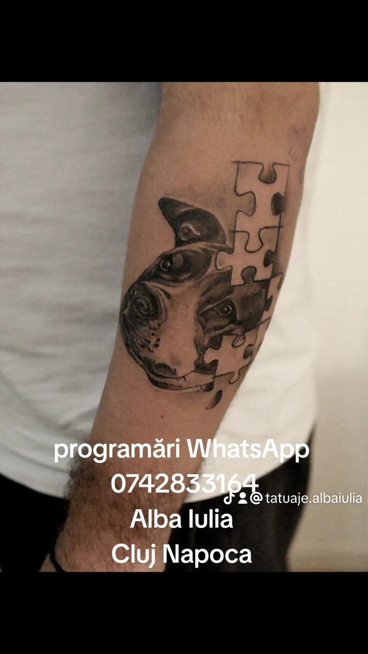Tatuaje profesionale