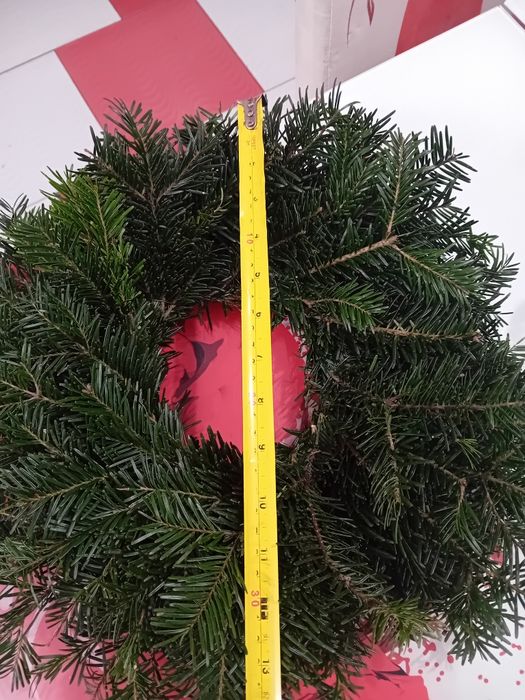 10 coronite brad natural