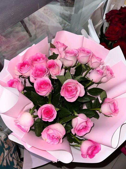 Гул свежий бүгін келген