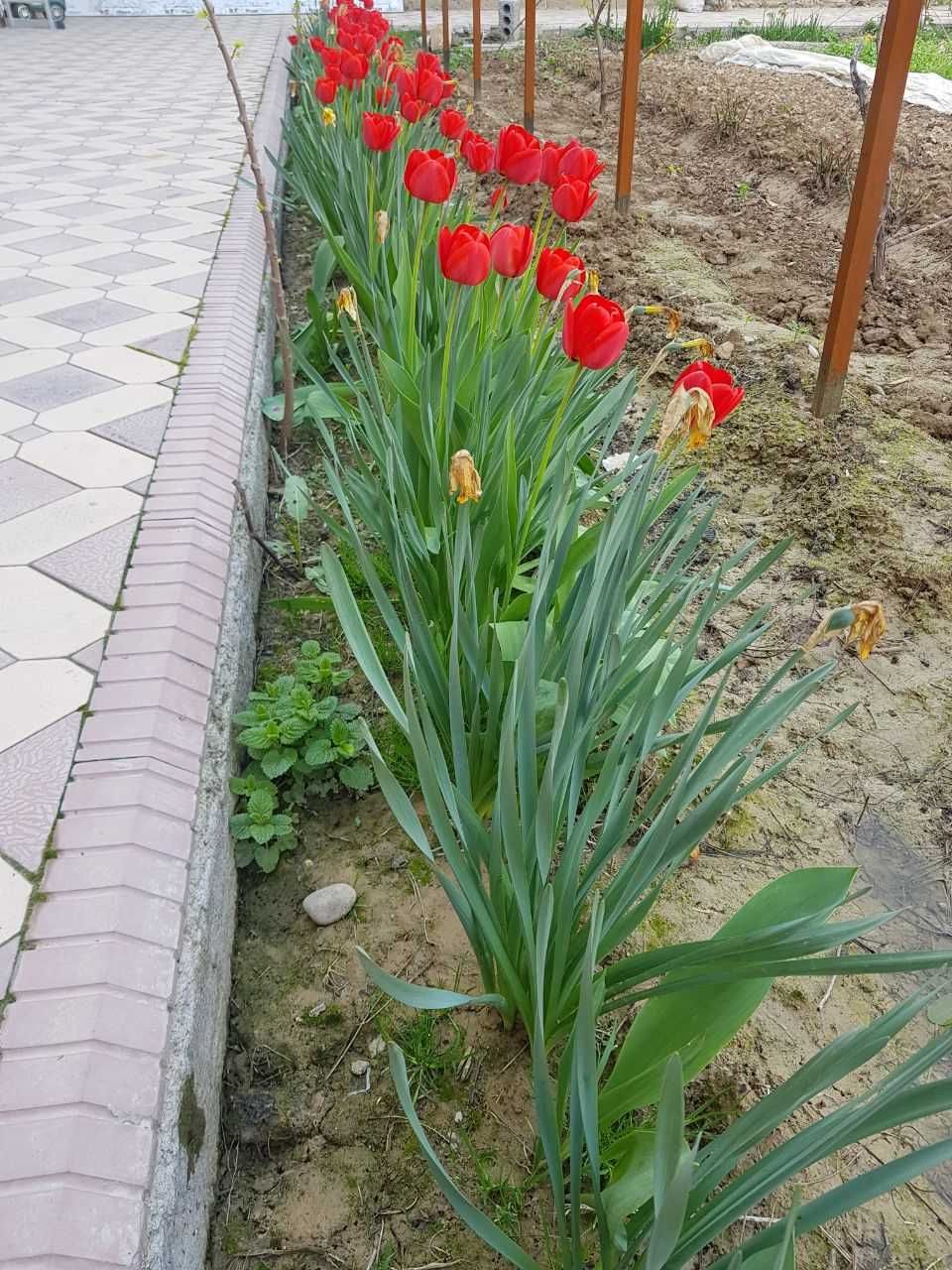 Продажа дома,  уй сотувда