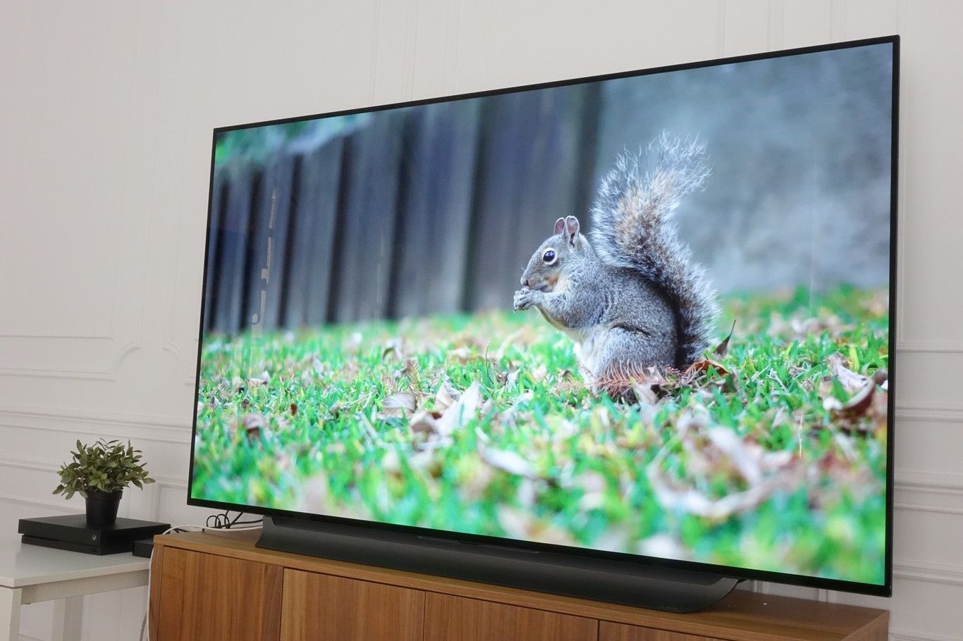 Телевизор LG OLED48C1RLA 122 см