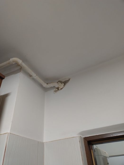 Handy man- la toate reparatiile interioare-painter