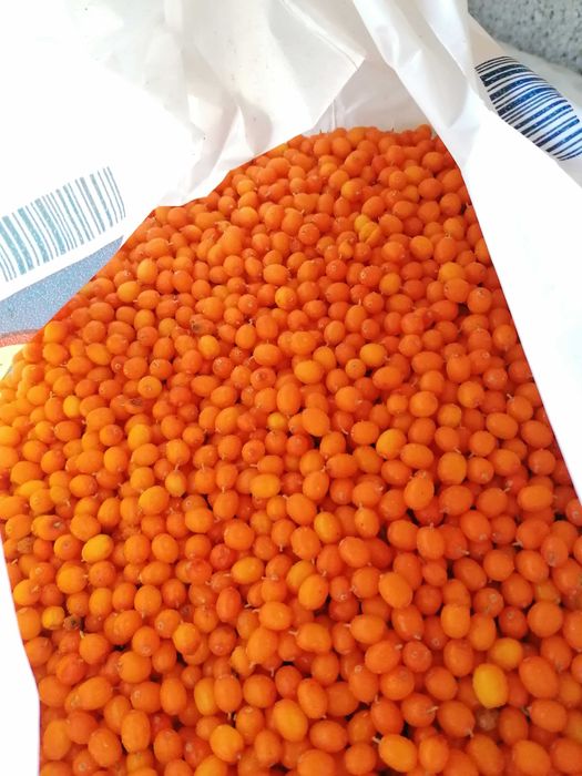 Catina congelata si vidata la 1 kg