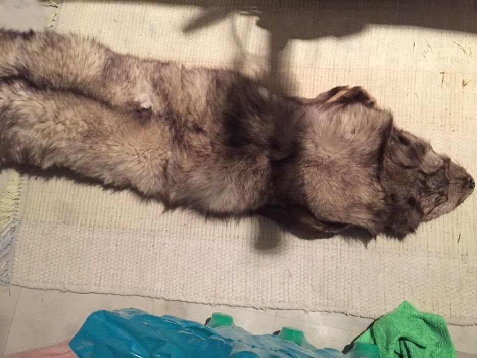 Căciula și guler din blana naturală vulpe